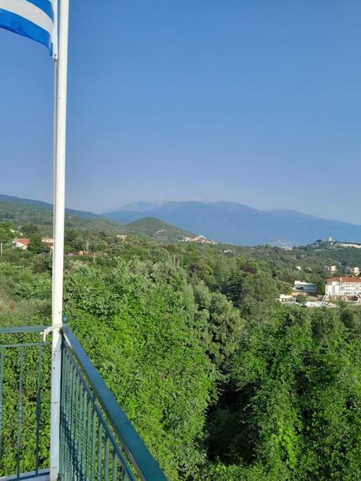 Nestor Platamonas