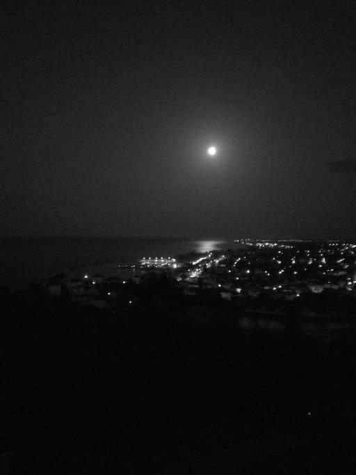 Nestor * Platamonas